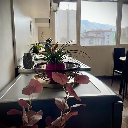 Cozy Free Parking Wi-fi Netflix Apartmán